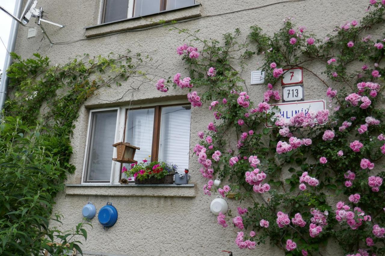 Apartment At Sedliacky Dvor - Brezno Eksteriør bilde